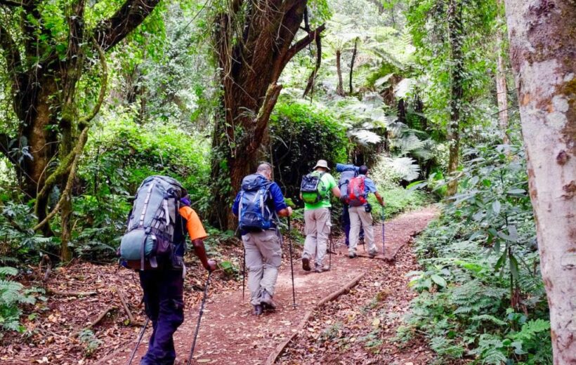 6 Days Trekking up Mount Kilimanjaro via Marangu Route